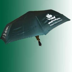 Fold-up Umbrella